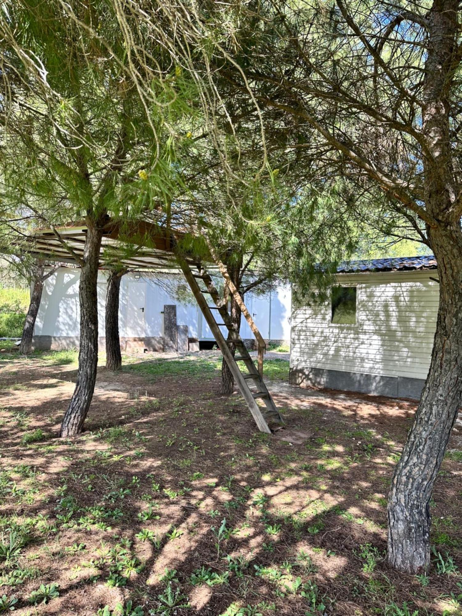 Bungalow Infanta Torrelaguna المظهر الخارجي الصورة