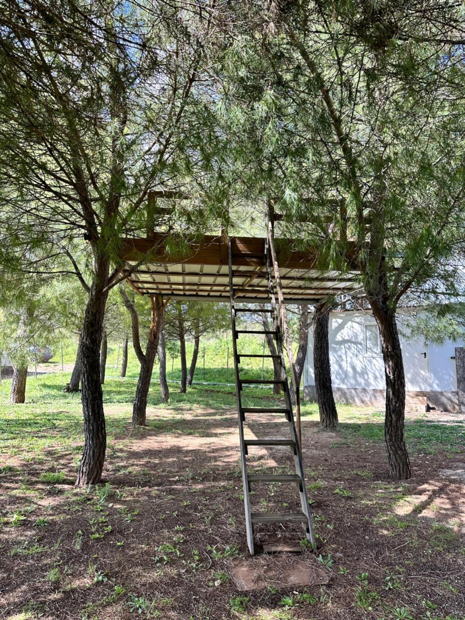 Bungalow Infanta Torrelaguna المظهر الخارجي الصورة
