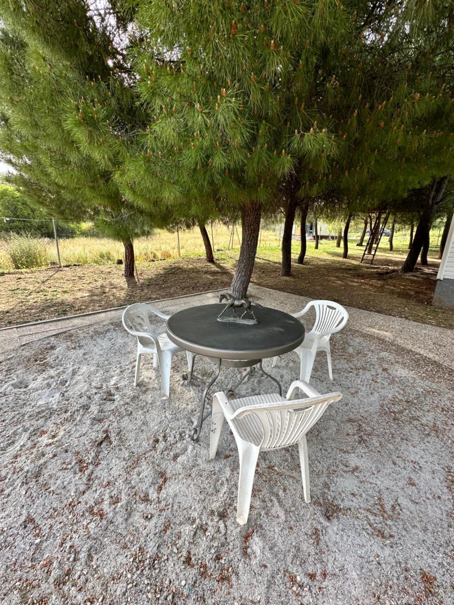 Bungalow Infanta Torrelaguna المظهر الخارجي الصورة